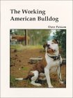 The Working American Bulldog: Dave Putnam